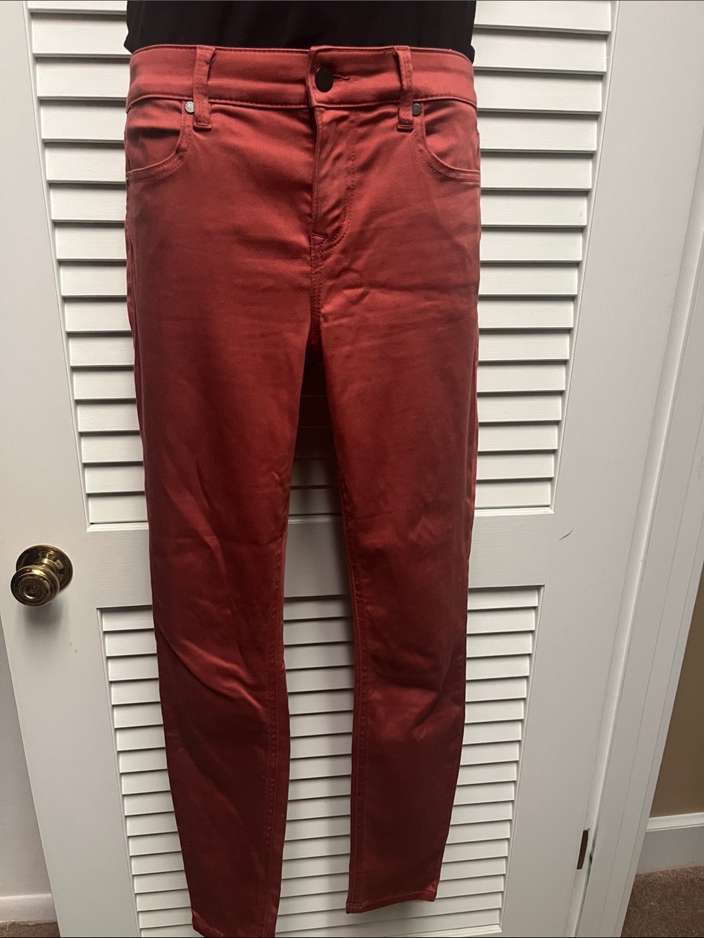 Level 99 Skinny Jeans in Rust